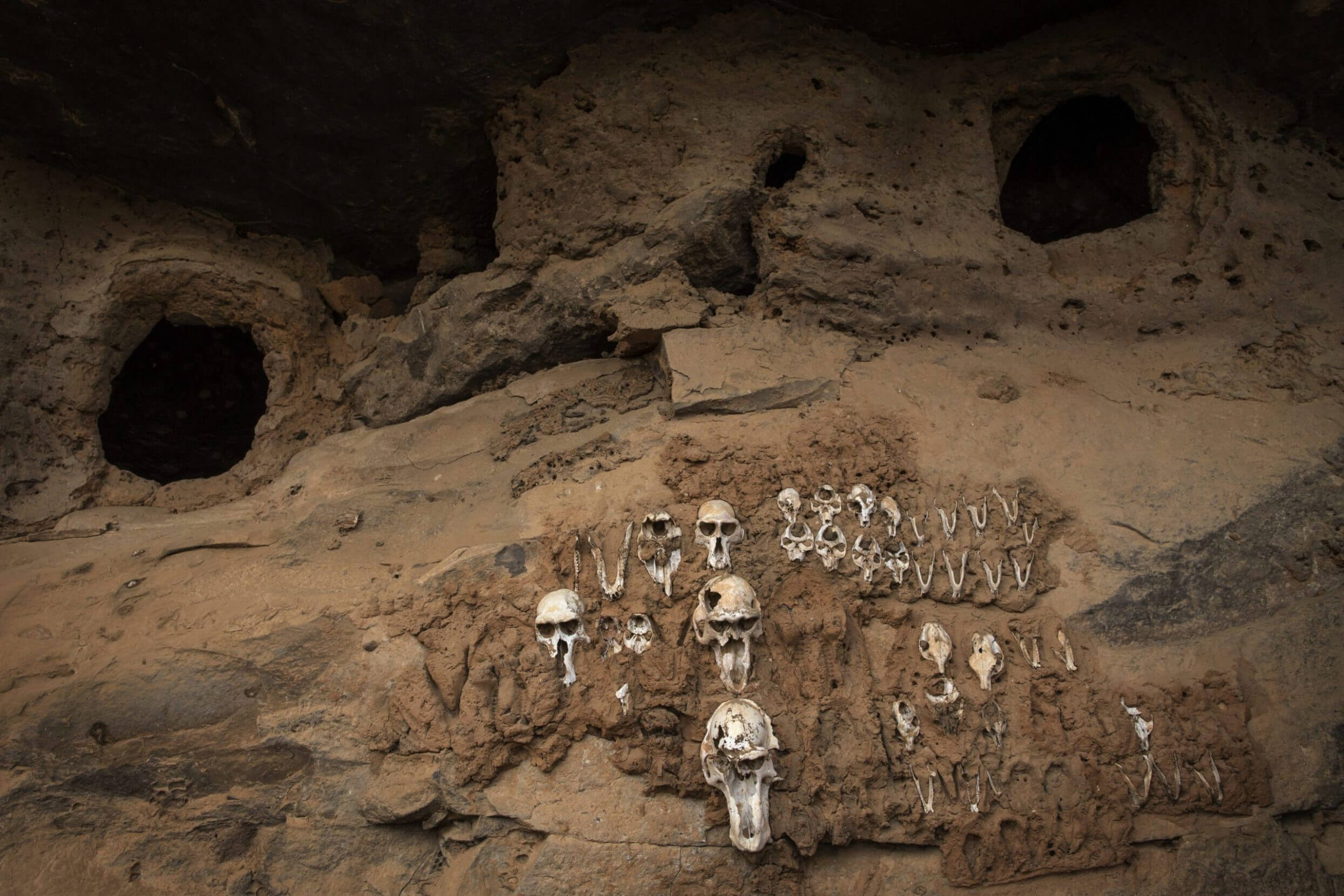 Monkey skulls are seen on the Bandiagara Escarpment in Teli, in the central region of Mali. In the Dogon religion, the skulls are believed to protect the inhabitants of the Escarpment from wild animals.