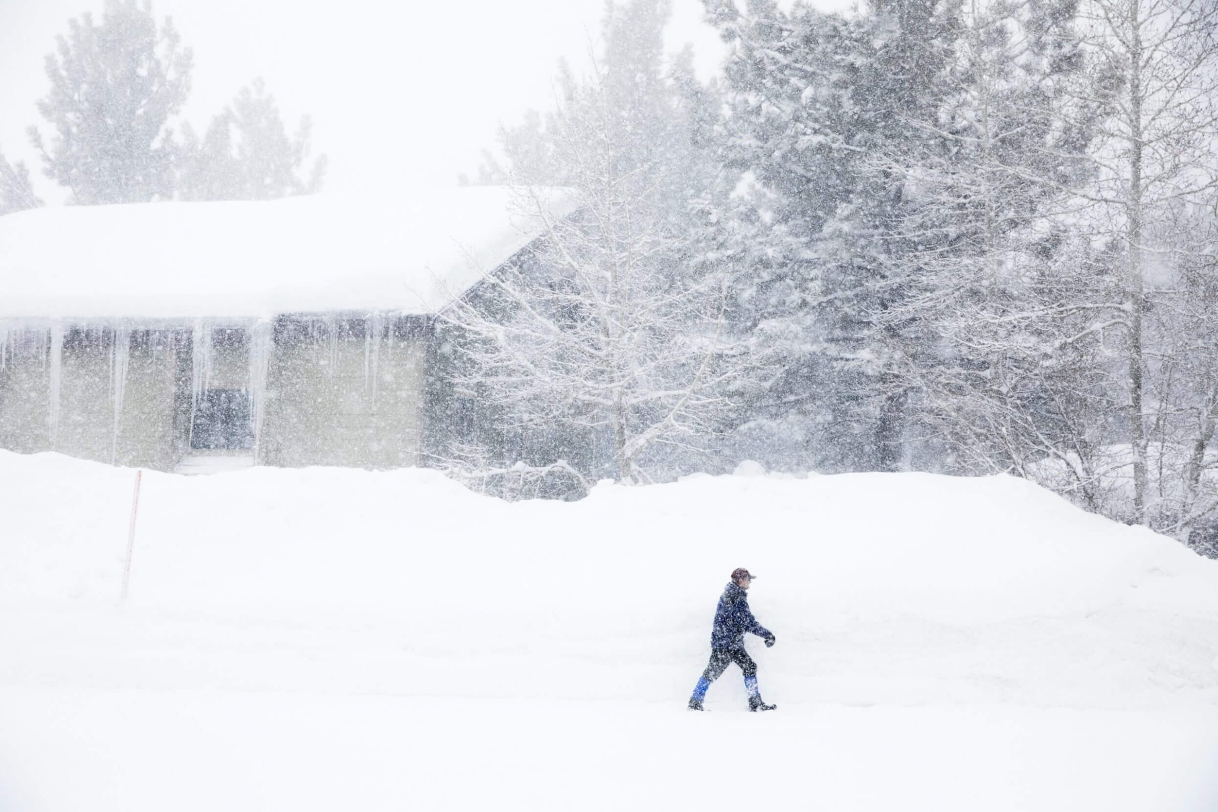 TTH4NW Man walking in snowstorm in Mammoth Lakes, California.