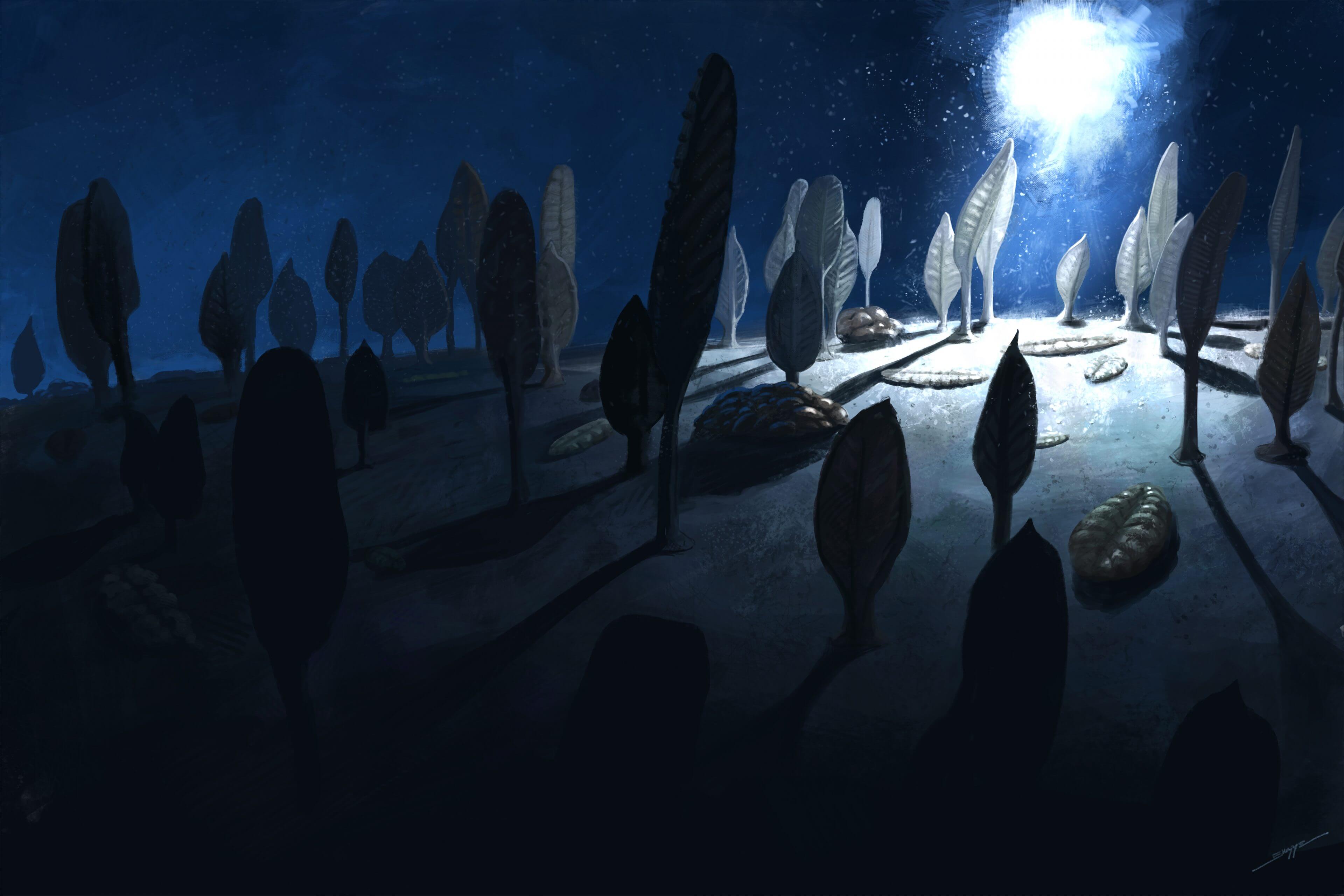 Painting of rangeomorphs An imagined diver’s light illuminates a sea of rangeomorphs on the floor of the primordial ocean. Painting by Henry Sharpe.