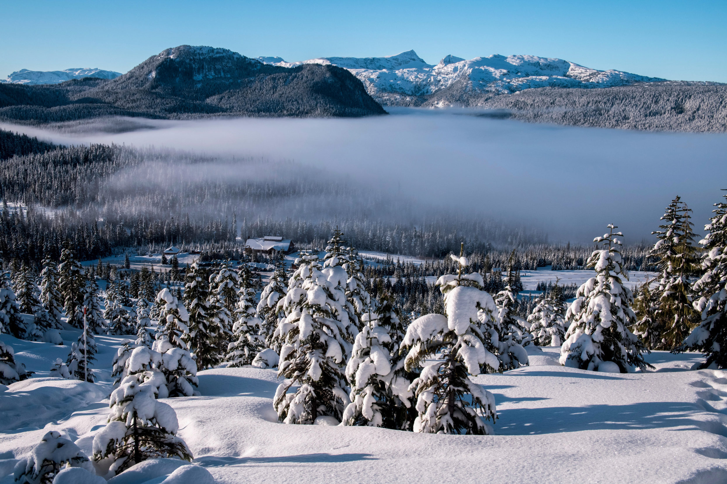 A layer of fog often cloaks the snow-frosted landscape of Mount Washington Alpine Resort. Coastal Vancouver Island is known for unique atmospheric conditions, including fogbows — a muted cousin of the rainbow. Photo: Dave Hutchison/Alamy.