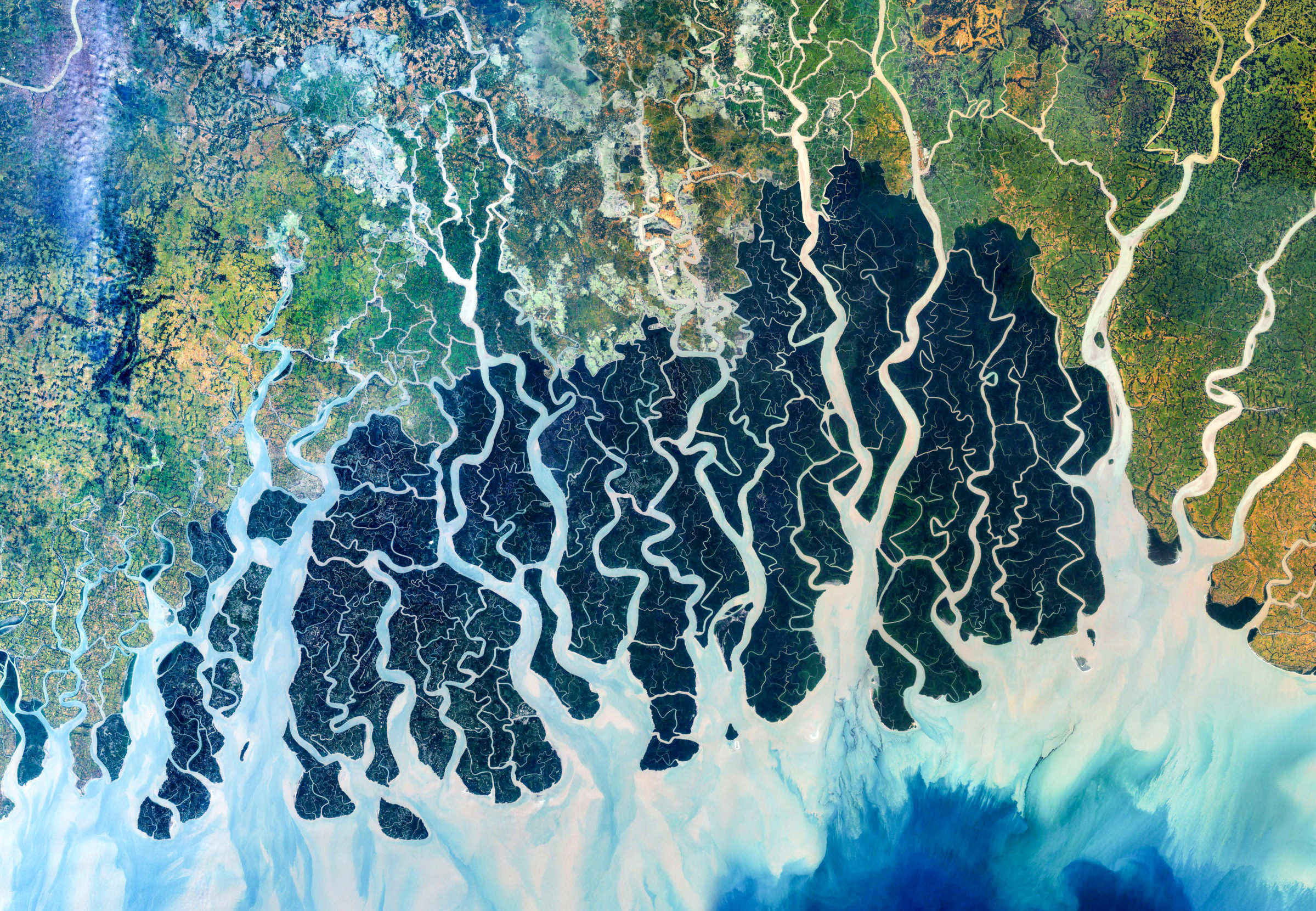 Seen in this merging of satellite imagery taken in 1999 and 2000, the Sundarbans appears like an intricate tapestry. Here where the Ganges, Brahmaputra, and Meghna Rivers meet at the edge of the Bay of Bengal stands one of the world's largest remaining tract of mangrove forest — a natural wall protecting the coasts of India and Bangladesh and providing a rich habitat for endangered Bengal tigers, hundreds of bird species, and an array of sharks and rays. Recent research shows that a quarter of its trees exhibit signs of declining health. Photo: B.A.E. Inc./Alamy.