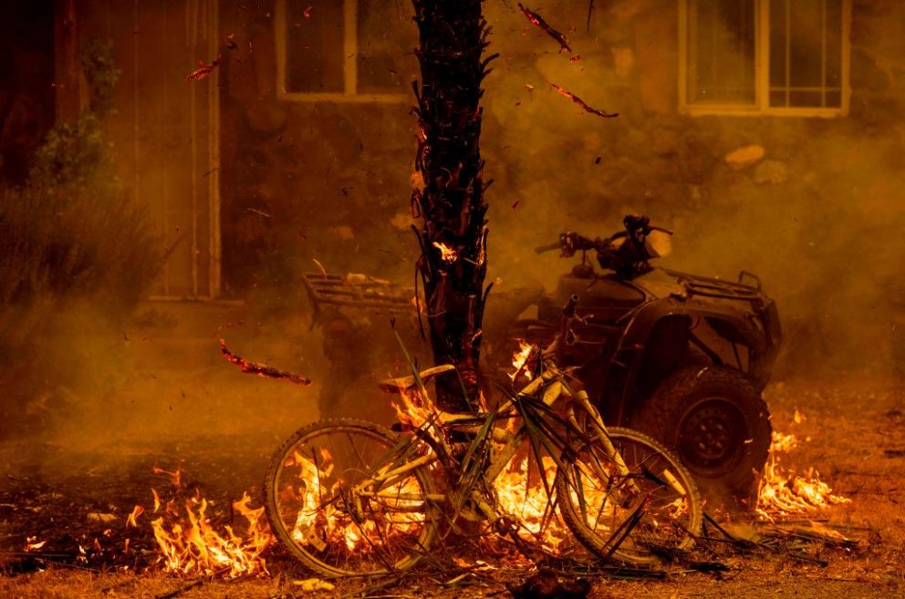 A bicycle and palm tree burn in Napa, California, during the LNU Lightning Complex fire, part of a "lightning siege" that struck California in August 2020 and ignited hundreds of wildfires. Photo: Josh Edelson/AFP.