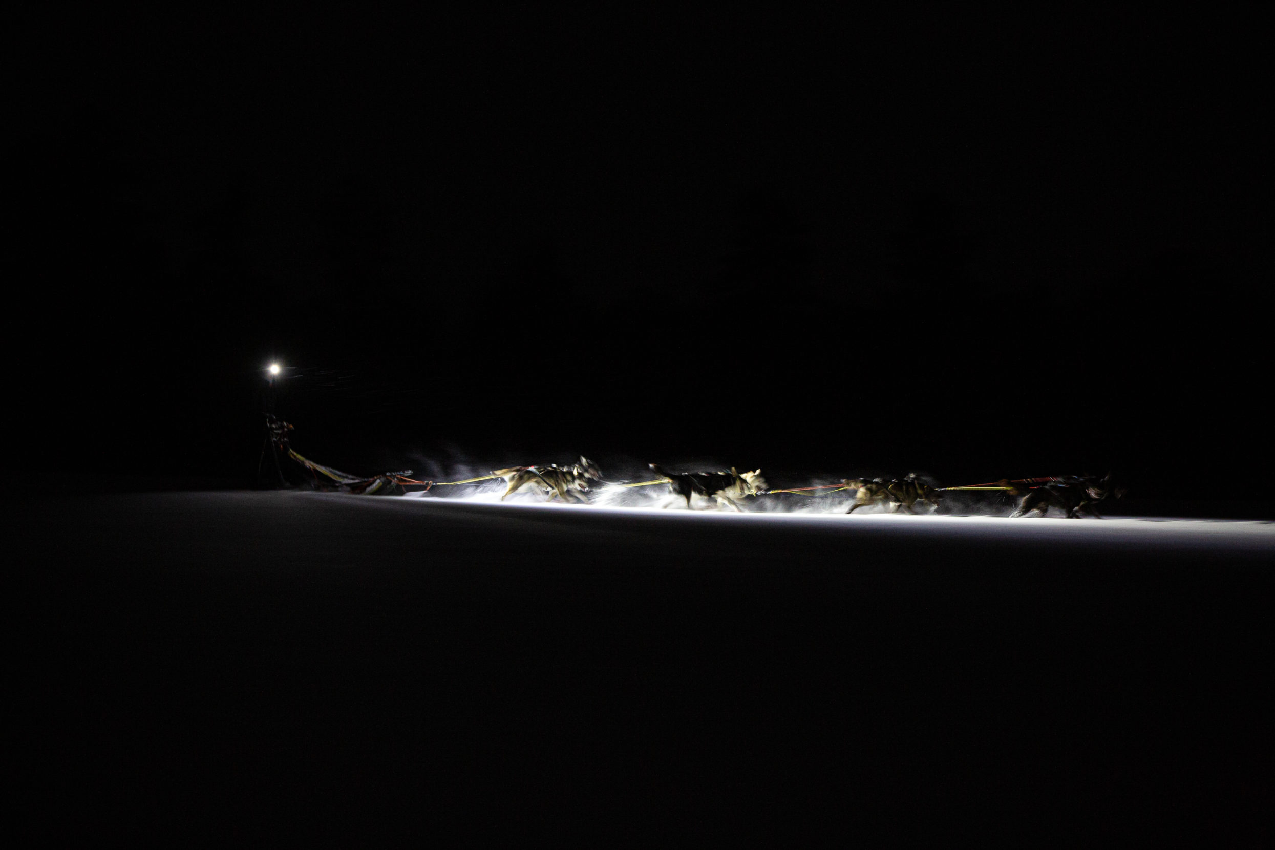 During dogsledding training season, the sun begins to set by midafternoon in the Tufsingdalen valley of eastern Norway, and much of the mushing is done by headlight. Photo: Edmée van Rijn.