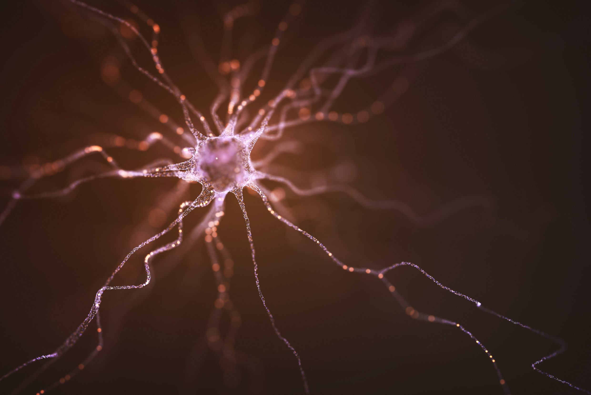 In this conceptual image, an electric charge energizes a neuron. Photo: Kiyoshi Takahase Segundo/Alamy.