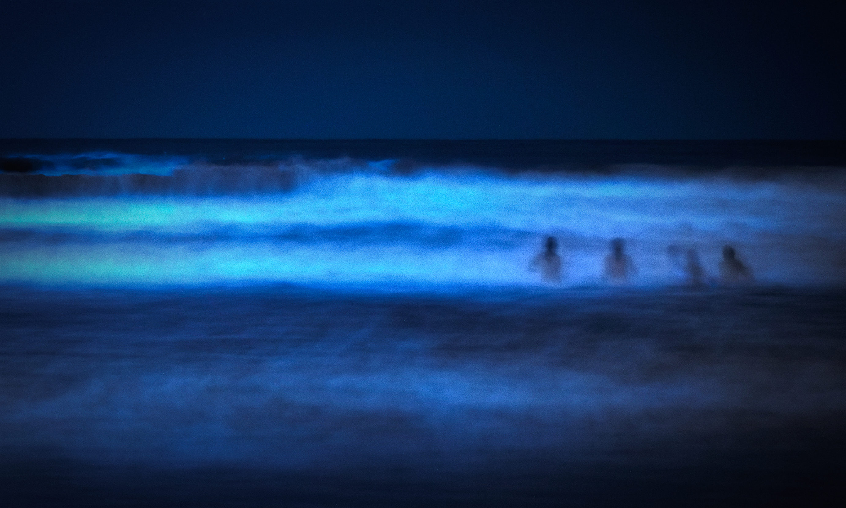Evening beachgoers in San Diego encounter an electrifying sight — blue flashes of light emitted by marine dinoflagellates. Photo: Rachel Blaser.