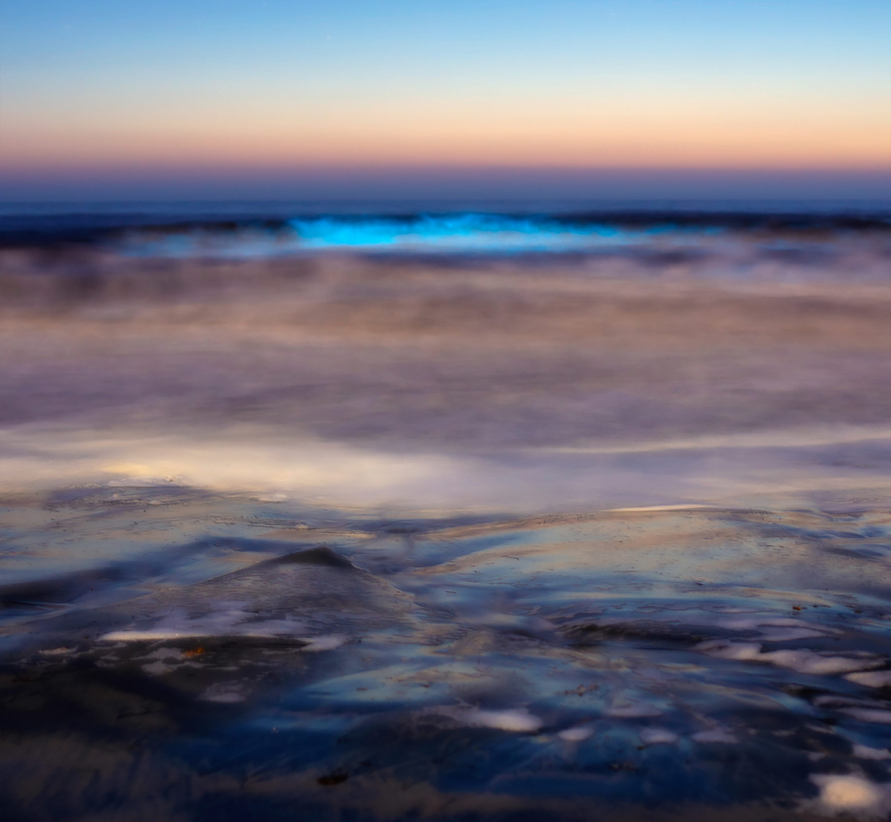 A photo illustration conjures the nebulous feel of the red tide phenomenon. Photo: Rachel Blaser.