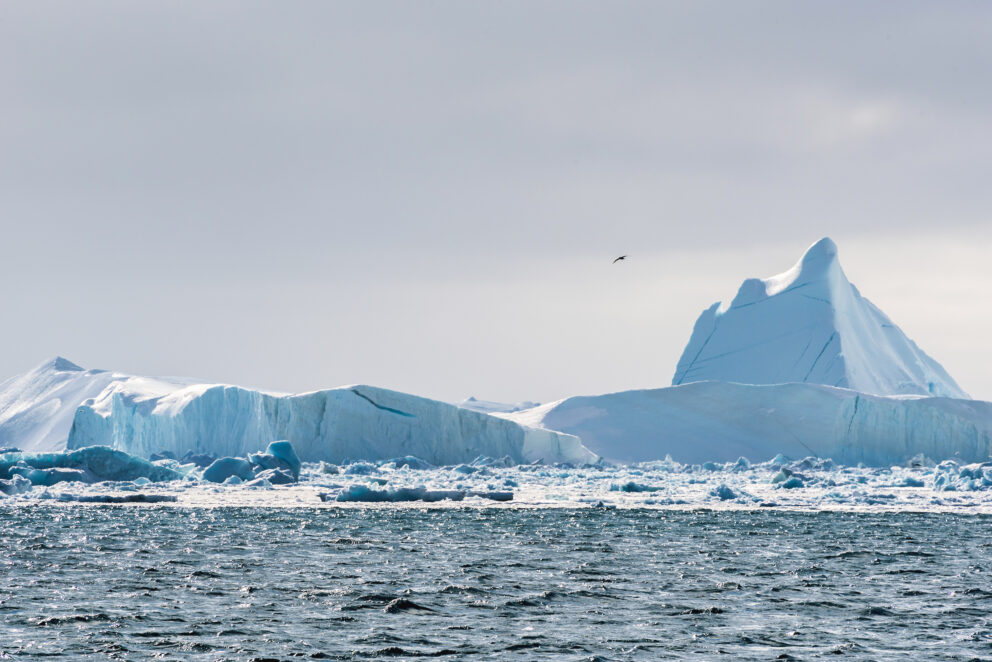 A lone bird flies above a large iceberg in cloudy weather.