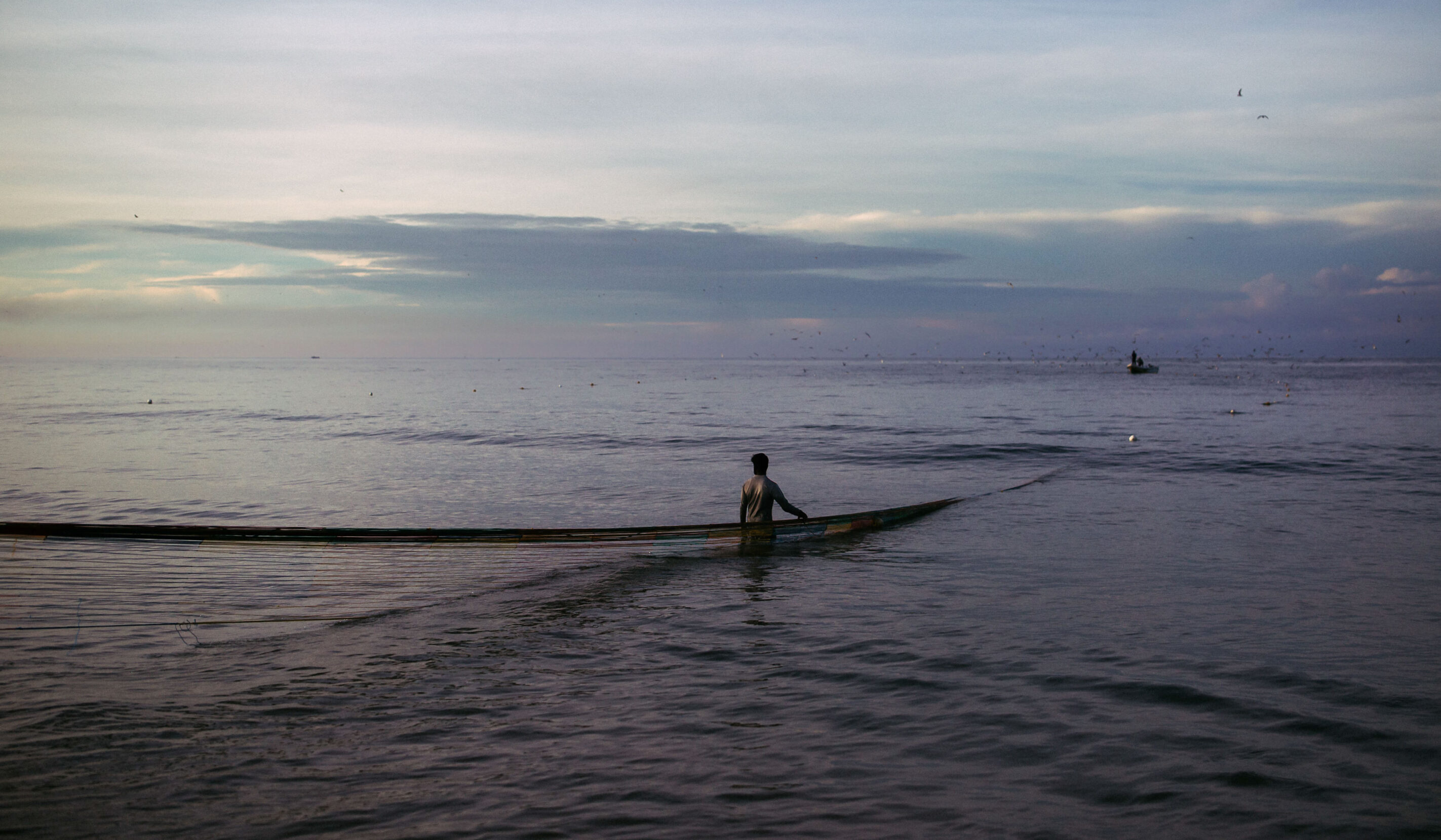 A single fisherman stands thigh-deep in calm ocean waters beside a large net.