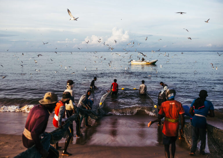 A dozen fishermen carry a net out to sea as gulls fly overhead, a fisherman in a white boat in the distance.