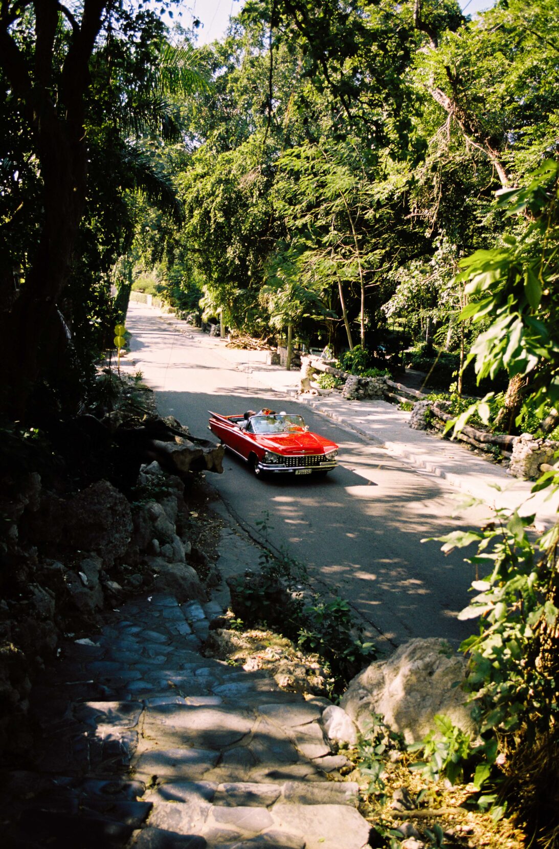 An old, bright red convertible drives along a road surrounded by tropical plants.