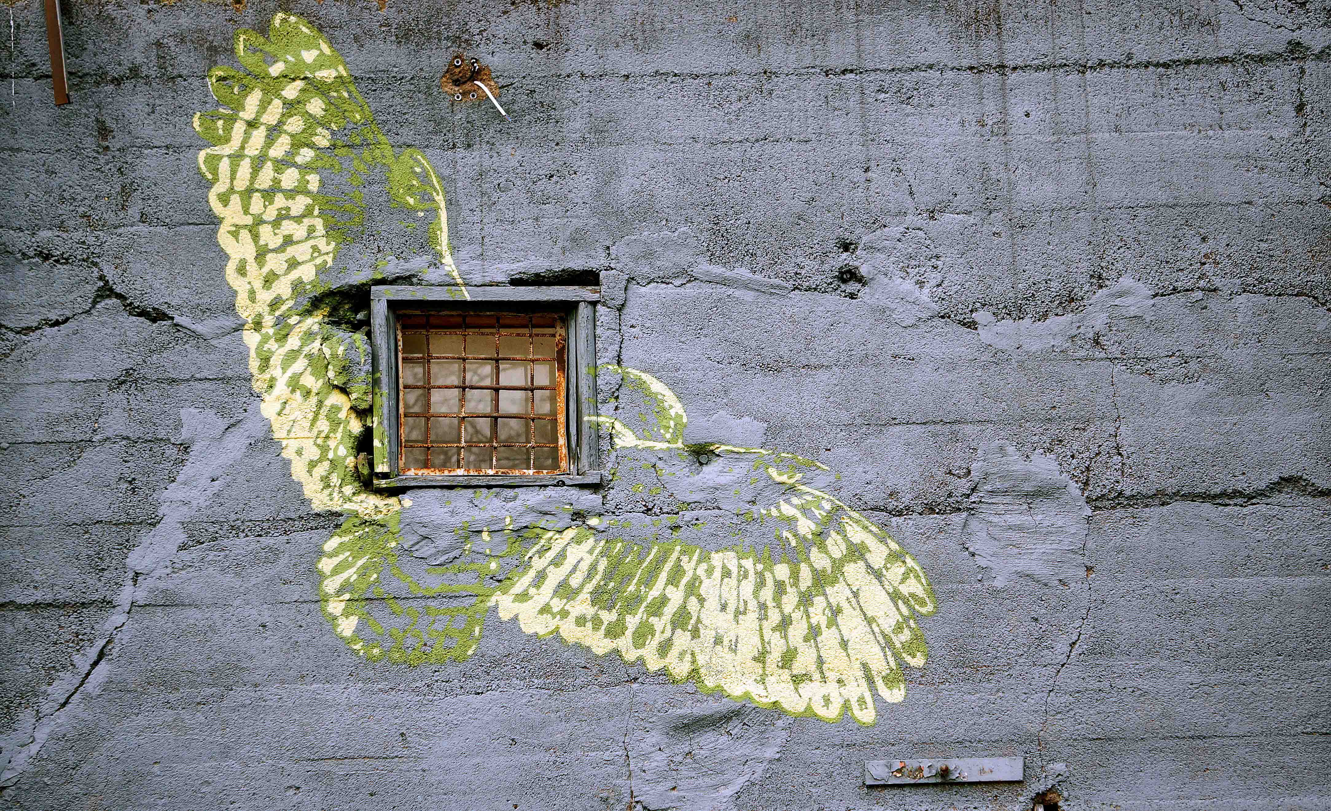 A painted yellow and gold bird with its wings spread on a gray concrete wall with a rusty barred window