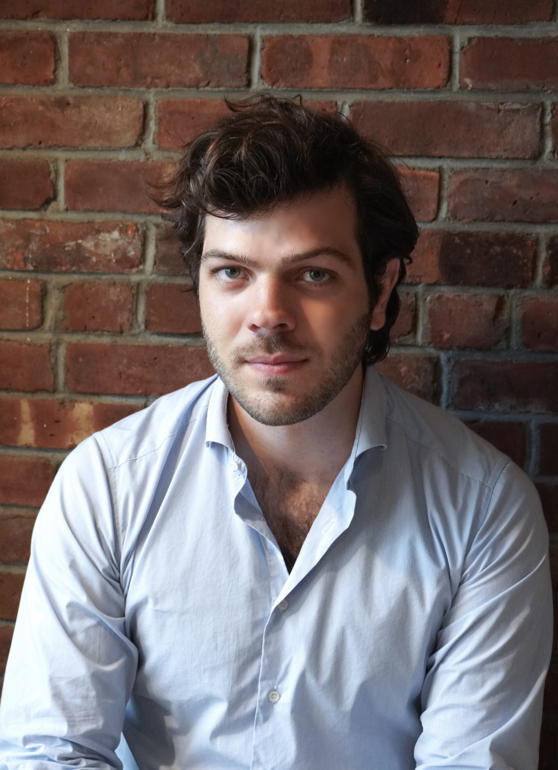 Headshot of young man with brown hair and gray eyes in a blue shirt sitting before a brick wall.