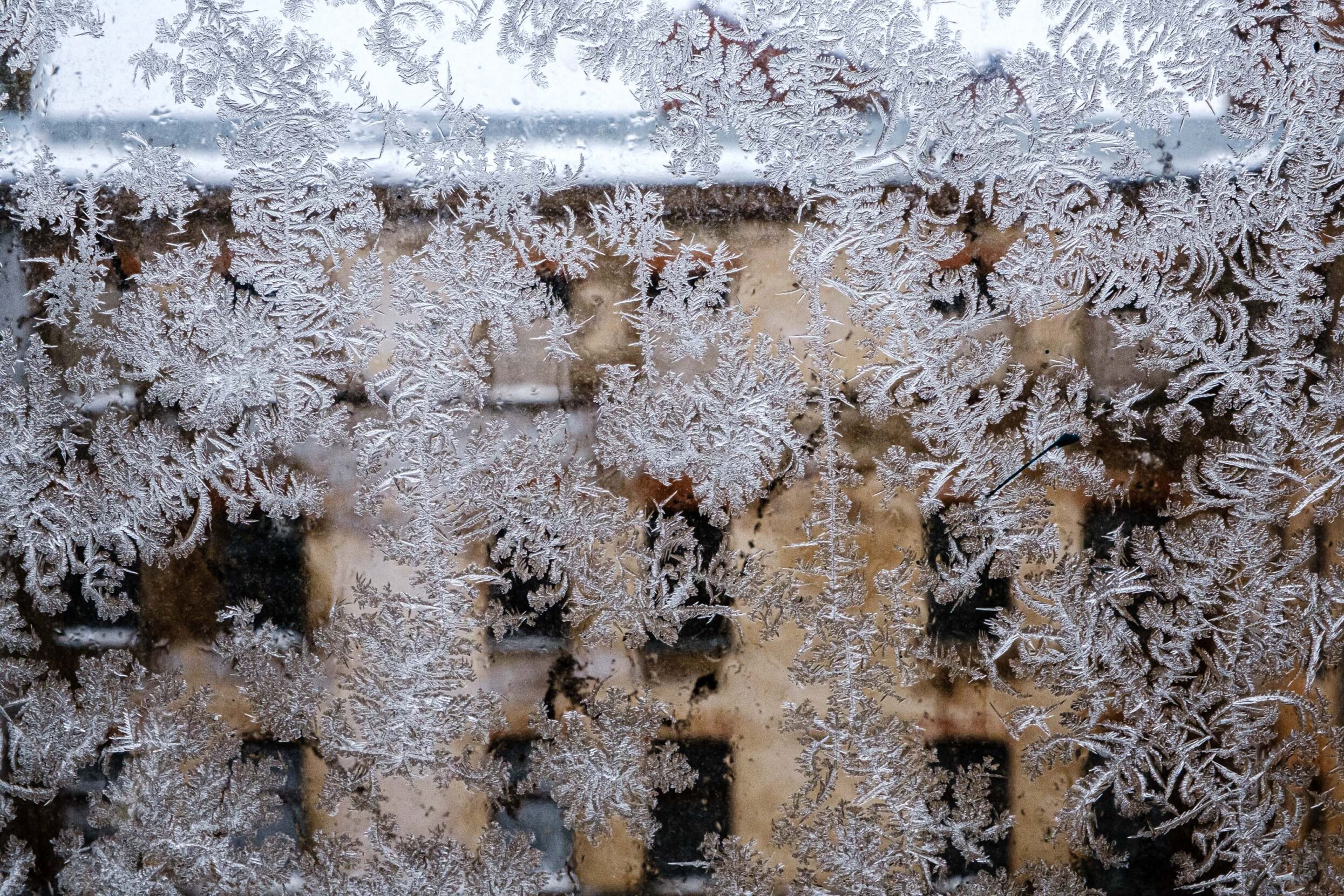 Hoarfrost patterns cover a window with old buildings in the background.