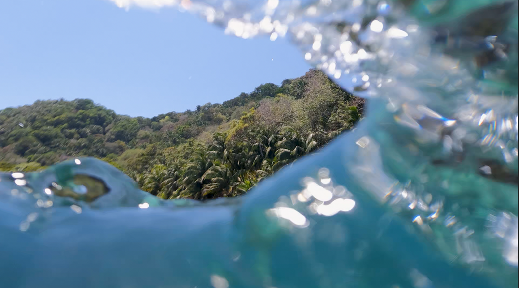 A glimpse of tropical forested mountains from under a light turquoise wave.