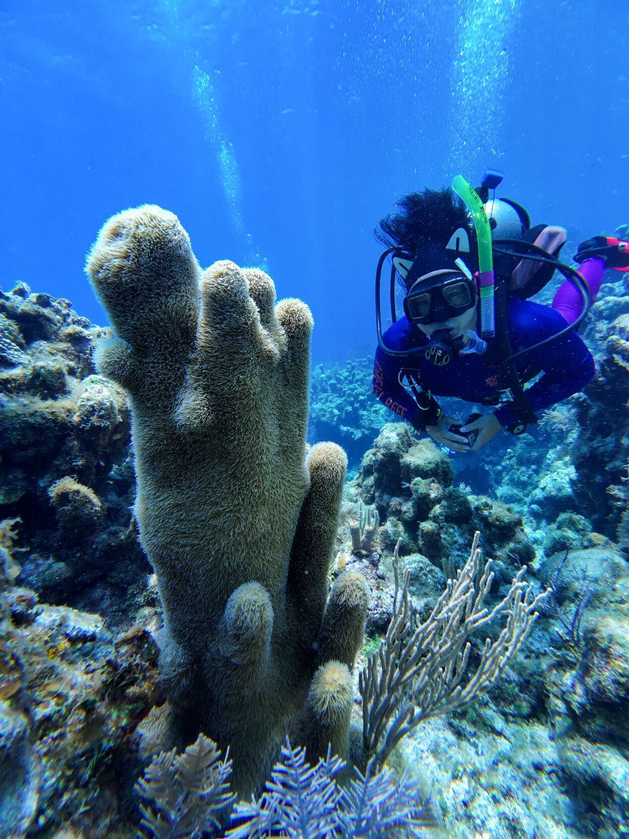 A woman scuba diving with pillar coral in the foreground