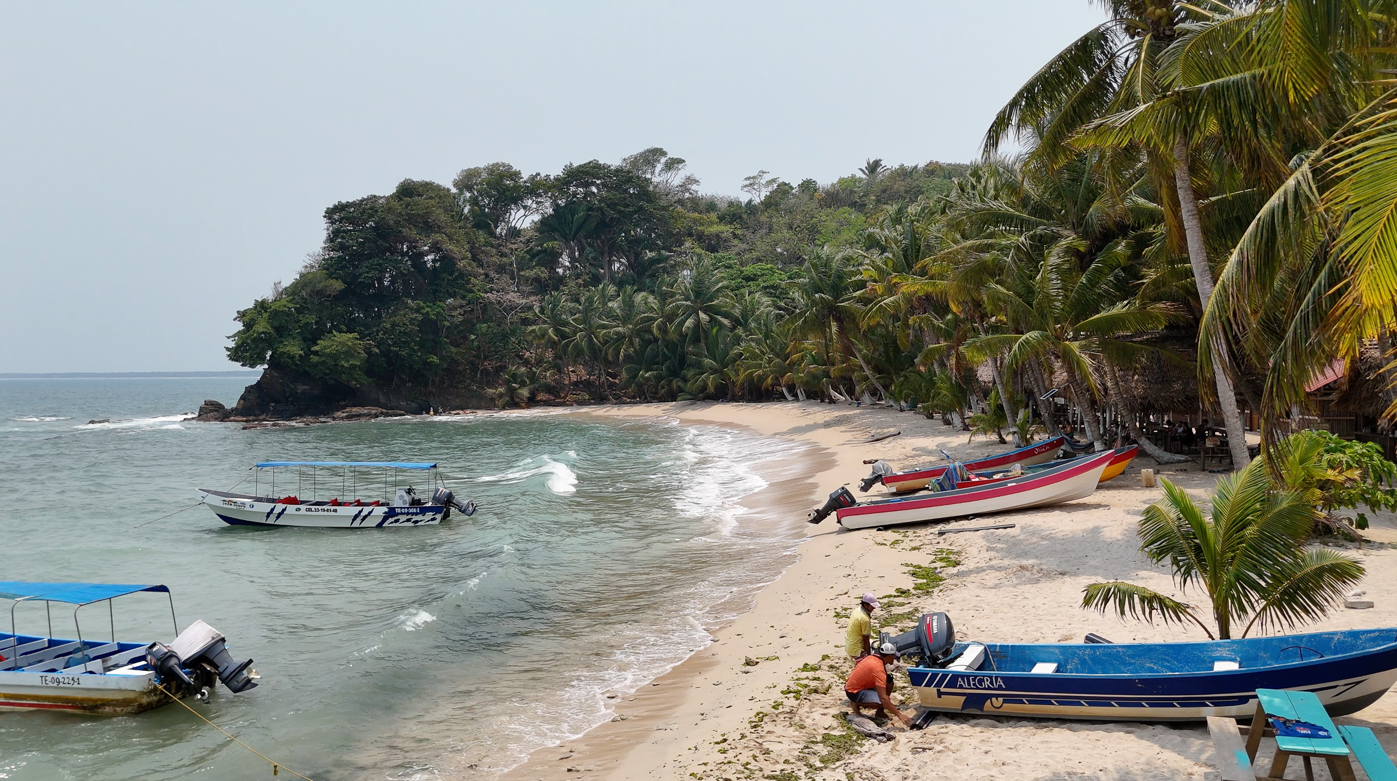 boats on a tropical beach