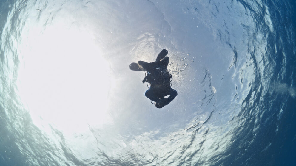 a shot looking up at a scuba diver in the water
