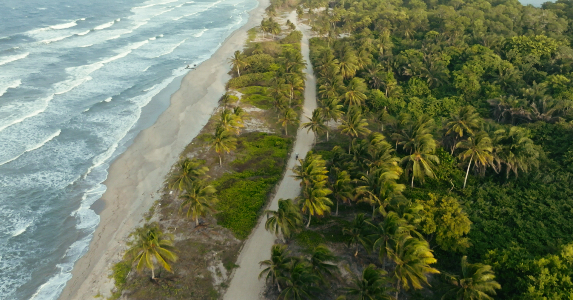 An aerial shot of a man riding a motorcycle on a round with lush palm trees on one side and beach and ocean on the other